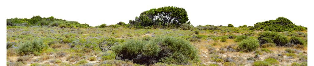 Projets Rentables en Afriques